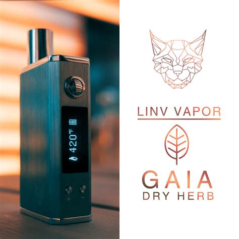 linx gaia vape review.